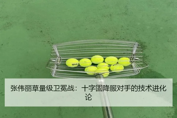 张伟丽草量级卫冕战：十字固降服对手的技术进化论