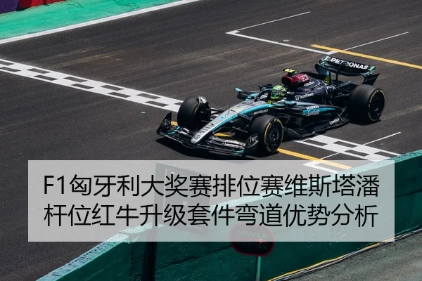 F1匈牙利大奖赛排位赛维斯塔潘杆位红牛升级套件弯道优势分析